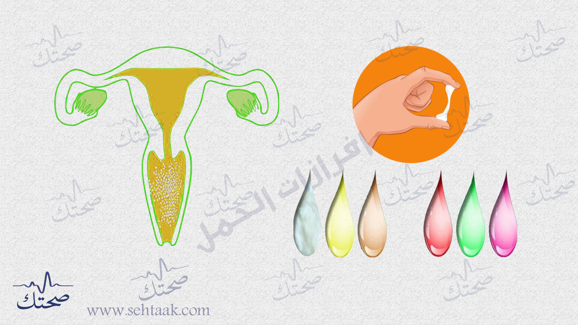 الحمل الإفرازات المهبلية بالصور وخطورتها على الحامل