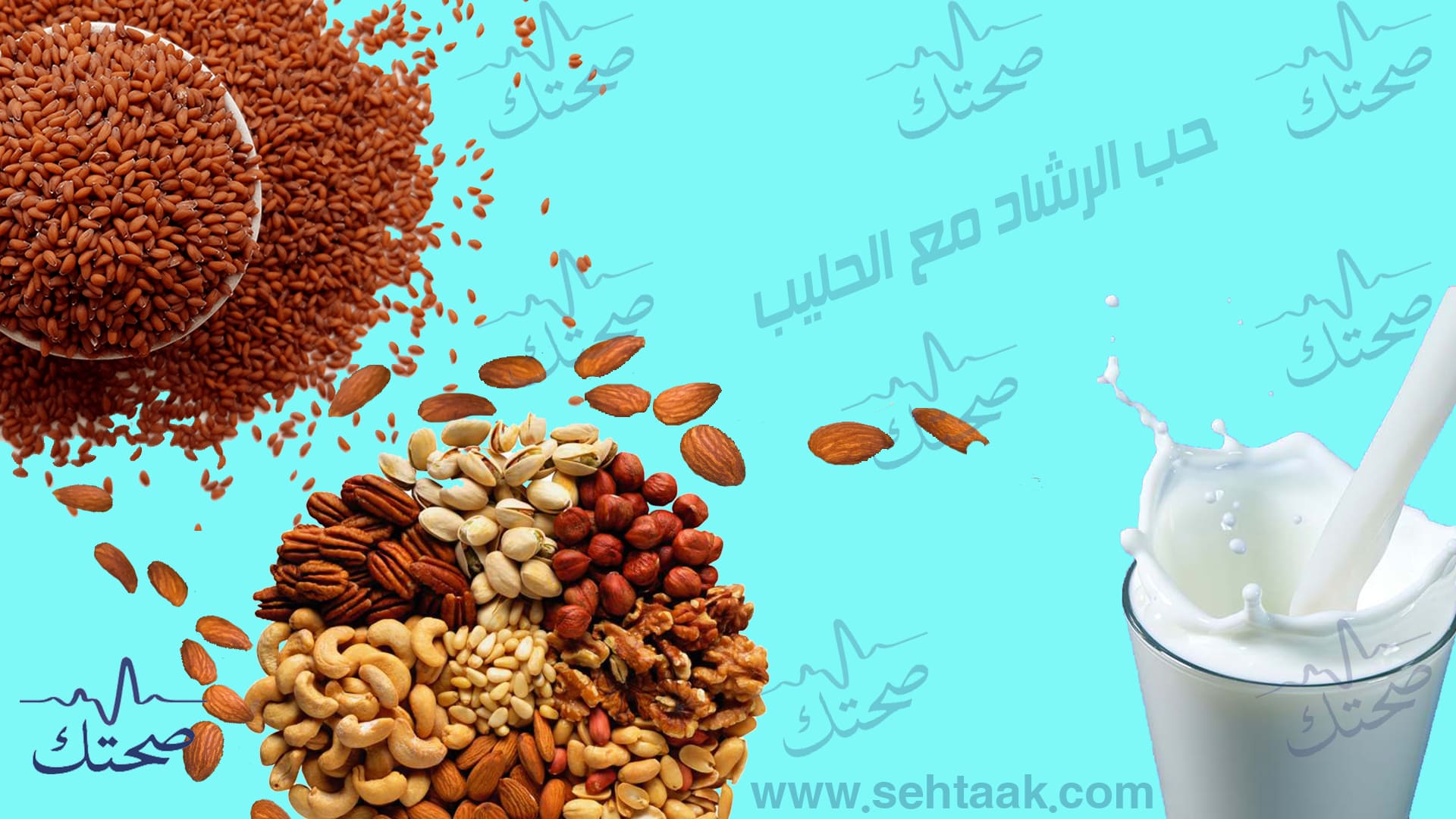 فوائد حب الرشاد مع الحليب وكيفية استخدامه