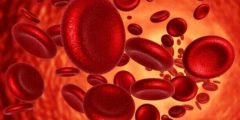 علامات واعراض فقر الدم وانواعة