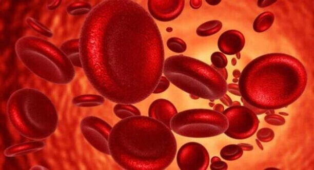 فقر الدم - اعراض فقر الدم - علامات فقر الدم - انواع فقر الدم - الانيميا
